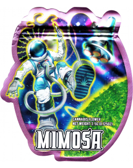 Smell-Proof Designer Zip Bags, 3.5G (10Pcs) - Space Man Mimosa