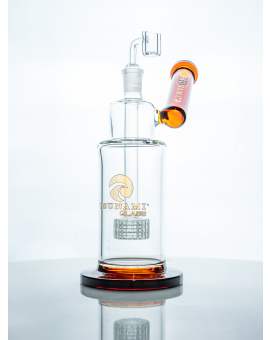 Side Neck Shower Head (10”)